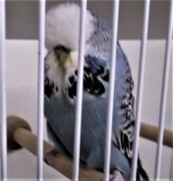 DSCF5816.JPG